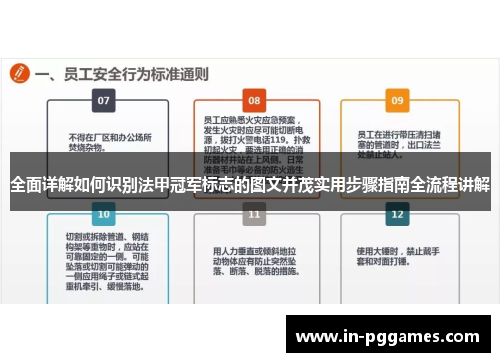 全面详解如何识别法甲冠军标志的图文并茂实用步骤指南全流程讲解 全面详解如何识别法甲冠军标志的图文并茂实用步骤指南全流程讲解