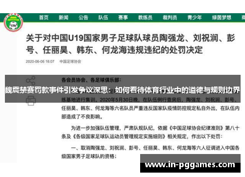 魏震禁赛罚款事件引发争议深思：如何看待体育行业中的道德与规则边界
