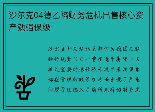 沙尔克04德乙陷财务危机出售核心资产勉强保级